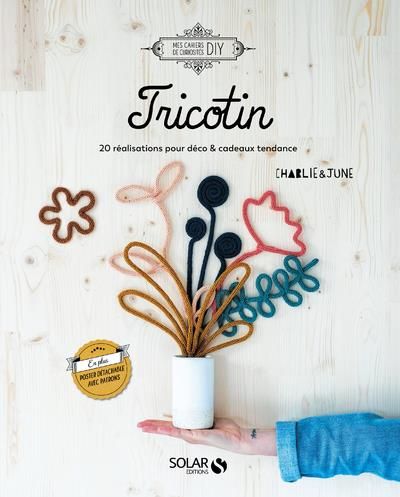 Emprunter Tricotin livre