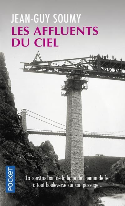 Emprunter Les affluents du ciel livre