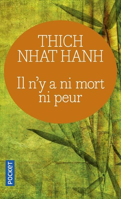 Emprunter Il n'y a ni mort ni peur. Une sagesse réconfortante pour la vie livre