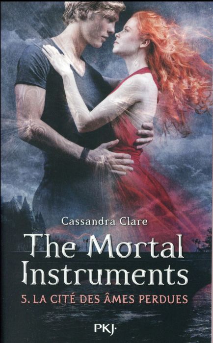 Emprunter The Mortal Instruments - La cité des ténébres Tome 5 : La cité des âmes perdues livre