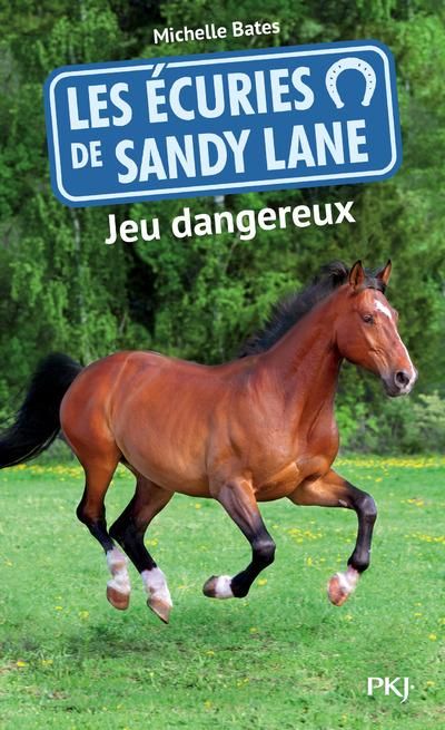 Emprunter Les écuries de Sandy Lane Tome 6 : Jeu dangereux livre