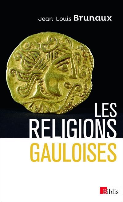 Emprunter Les religions gauloises livre