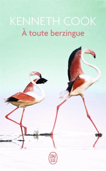 Emprunter A toute berzingue livre