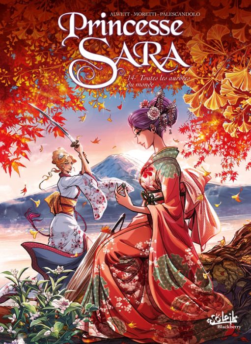 Emprunter Princesse Sara Tome 14 : Toutes les aurores du monde livre