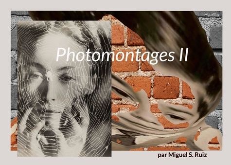 Emprunter Photomontages II livre