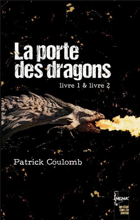 Emprunter Un chat dans la poche Tomes 1 et 2 : La porte des dragons livre