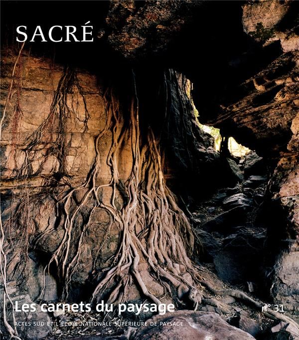 Emprunter Les carnets du paysage N° 31, printemps 2017 : Sacré livre