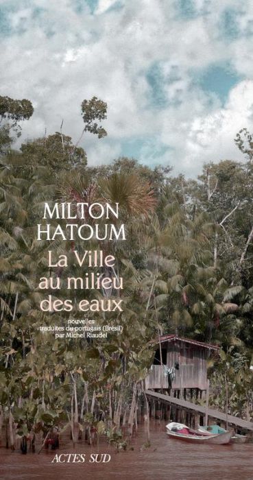 Emprunter La ville au milieu des eaux livre