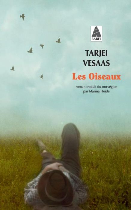 Emprunter Les Oiseaux livre