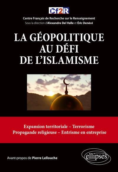 Emprunter La géopolitique au défi de l'islamisme livre