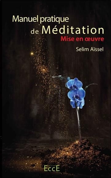 Emprunter Manuel pratique de méditation - Mise en oeuvre livre