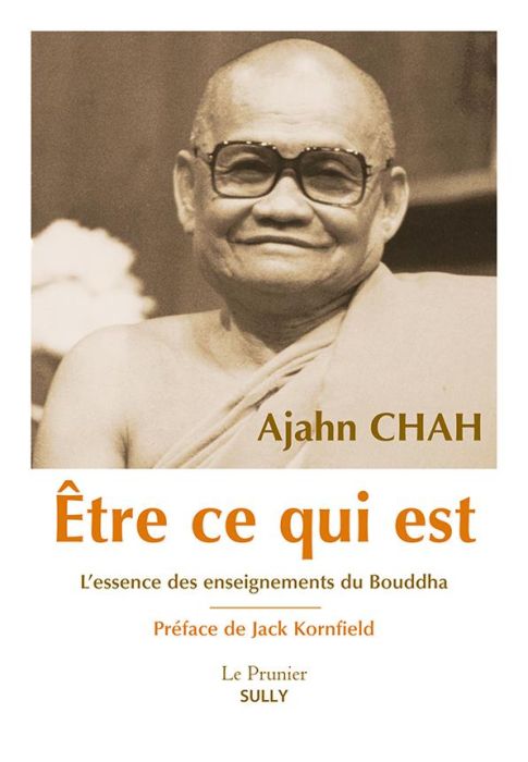 Emprunter Etre ce qui est. L'essence des enseignements du Bouddha livre