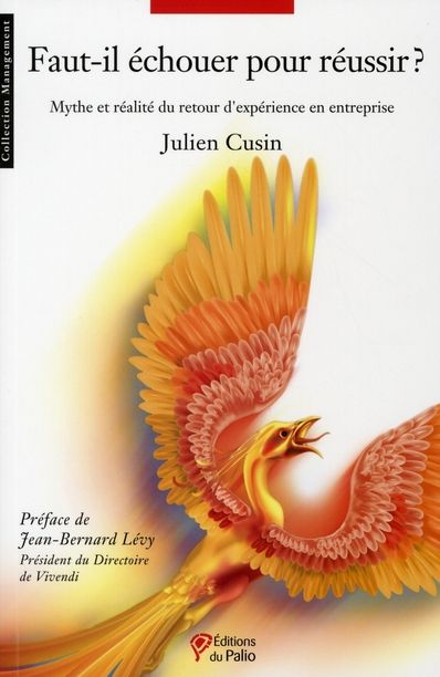 Emprunter Faut-il échouer pour réussir ? Mythe et réalité du retour d'expérience en entreprise livre