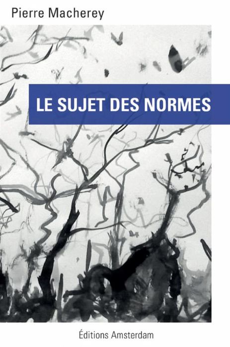 Emprunter Le sujet des normes livre