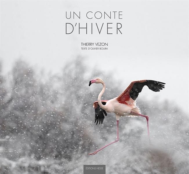 Emprunter Un conte d'hiver livre