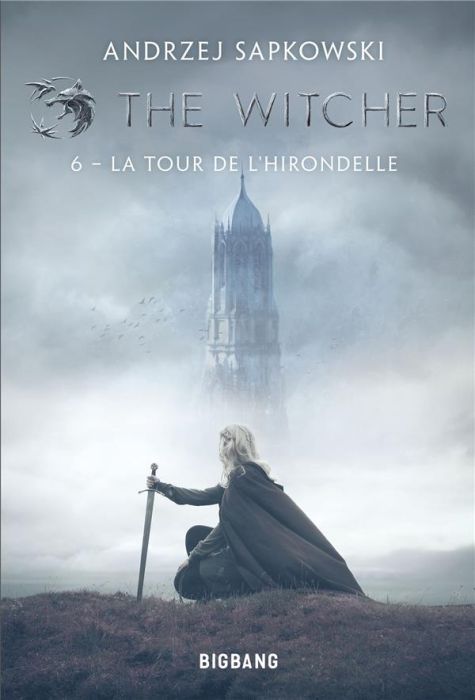 Emprunter The Witcher Tome 6 : La tour de l'hirondelle livre