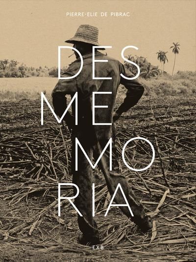 Emprunter Desmemoria. Textes en français et en espagnol livre