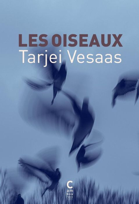 Emprunter Les oiseaux livre