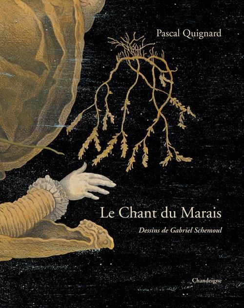 Emprunter Le chant du marais livre