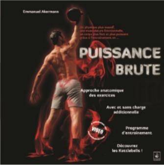 Emprunter Puissance brute livre