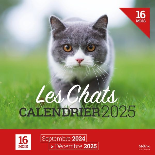 Emprunter Les chats. Calendrier, Edition 2025 livre