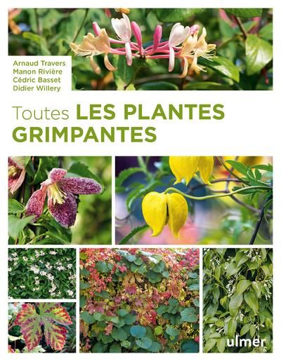 Emprunter Toutes les plantes grimpantes livre