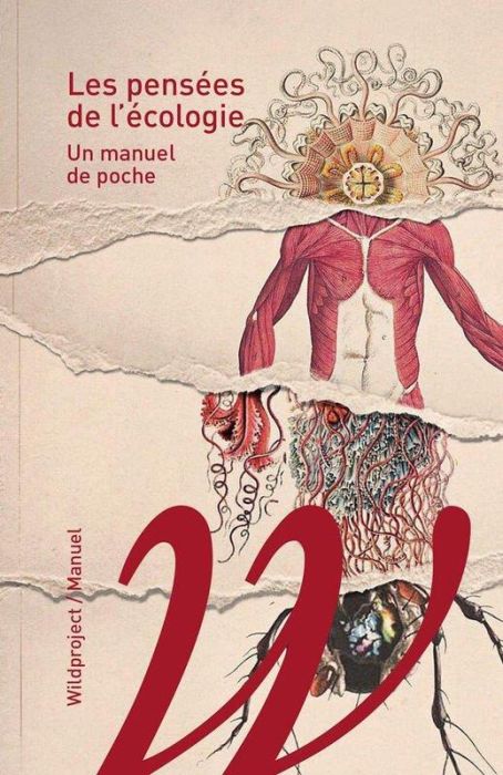 Emprunter Les pensées de l'écologie. Un manuel de poche livre