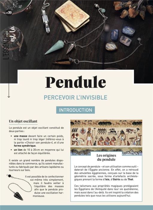 Emprunter Pendules. Percevoir l'invisible livre