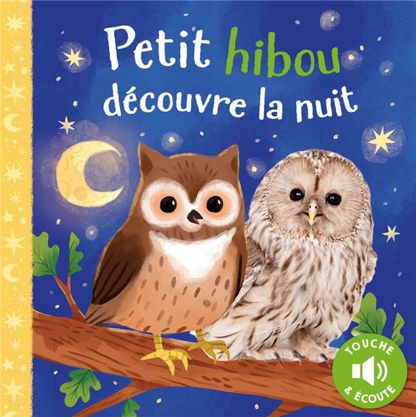 Emprunter Petit hibou découvre la nuit livre