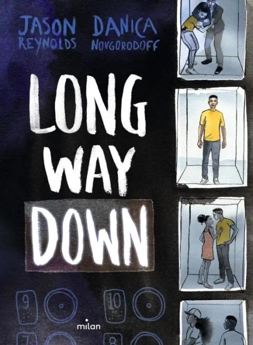 Emprunter Long Way Down livre