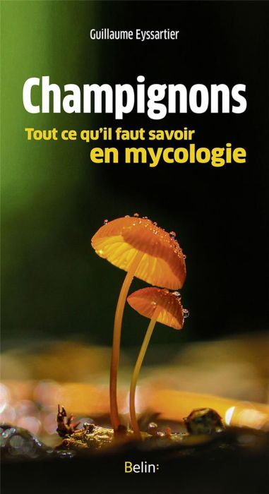 Emprunter Champignons. Tout ce qu'il faut savoir en mycologie livre