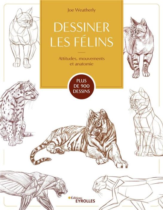 Emprunter Dessiner les félins. Attitudes, mouvements et anatomie livre