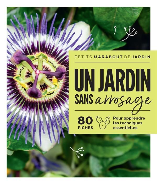 Emprunter Jardin sans arrosage livre