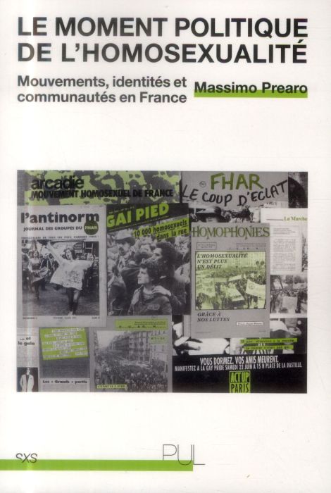 Emprunter Le moment politique de l'homosexualité. Mouvements, identités et communautés en France livre