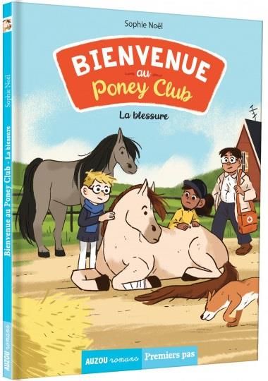 Emprunter Bienvenue au Poney Club Tome 3 : La blessure livre