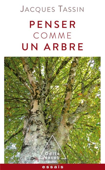 Emprunter Penser comme un arbre livre