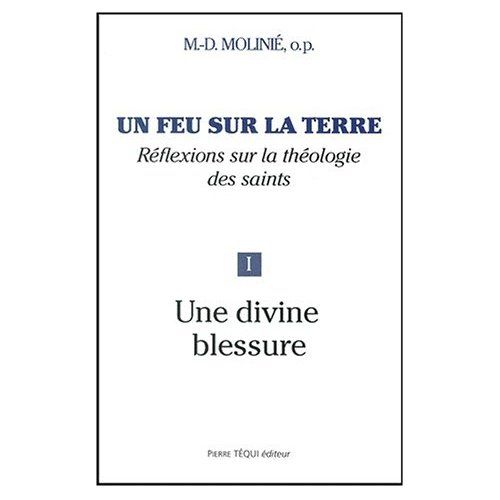 Emprunter Un feu sur la terre. Tome 1, Une divine blessure livre