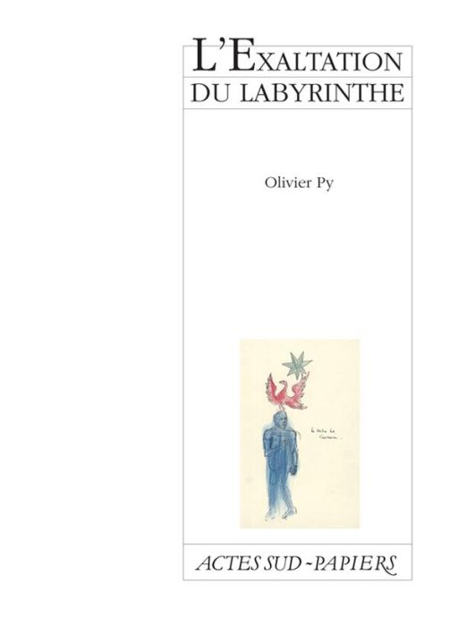 Emprunter L'exaltation du labyrinthe livre