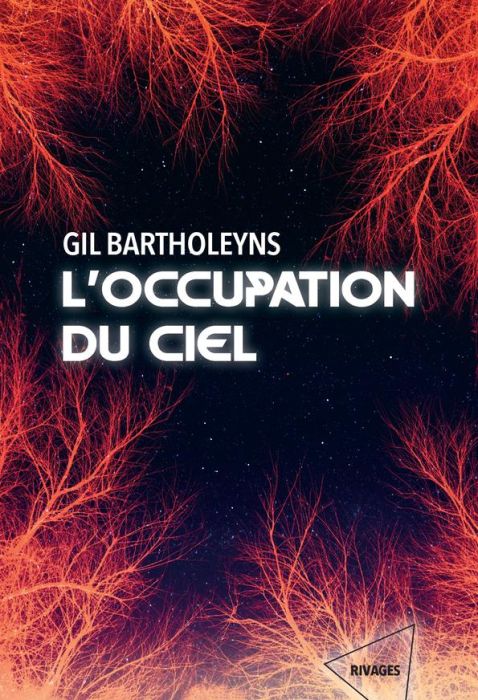 Emprunter L'Occupation du ciel livre