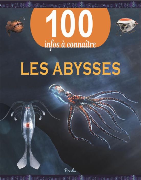 Emprunter Les abysses livre