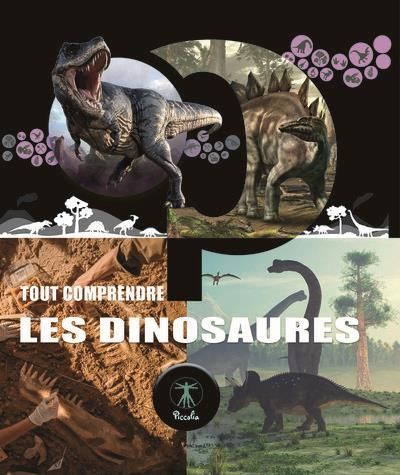 Emprunter Les dinosaures livre