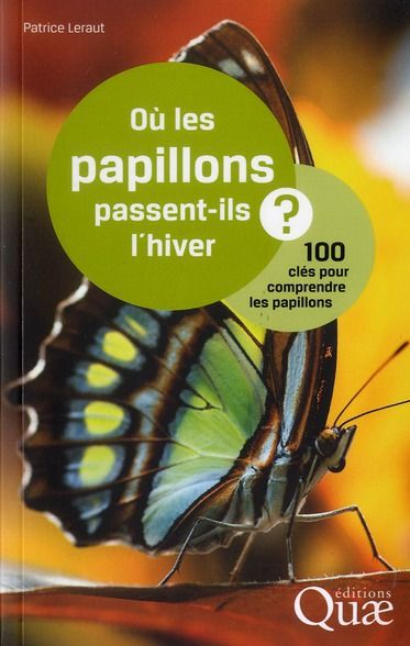 Emprunter OU LES PAPILLONS PASSENT-ILS L'HIVER ? 100 CLES POUR COMPRENDRE LES PAPILLONS livre