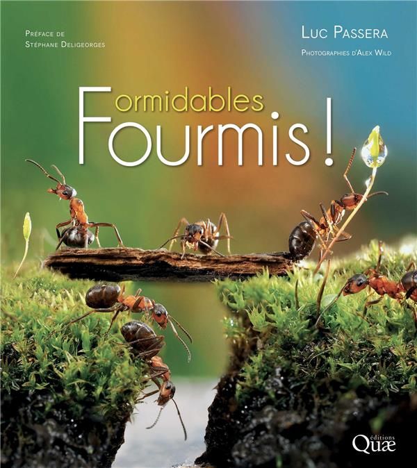 Emprunter Formidables fourmis livre