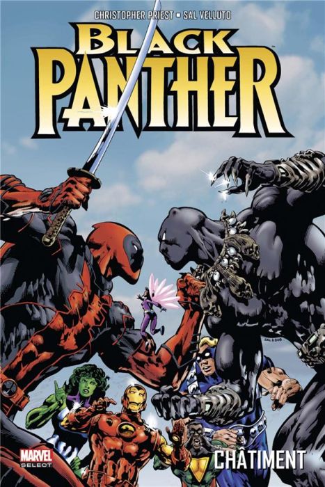 Emprunter Black Panther Tome 2 : Châtiment livre