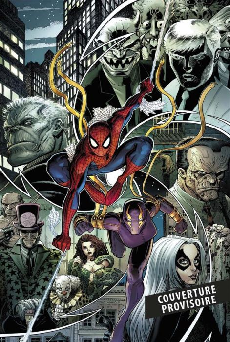 Emprunter Spider-Man : Descente aux enfers livre