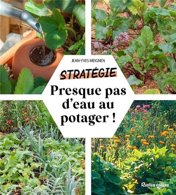 Emprunter Presque pas d'eau au potager. Changeons nos méthodes de culture pour plus de sobriété livre