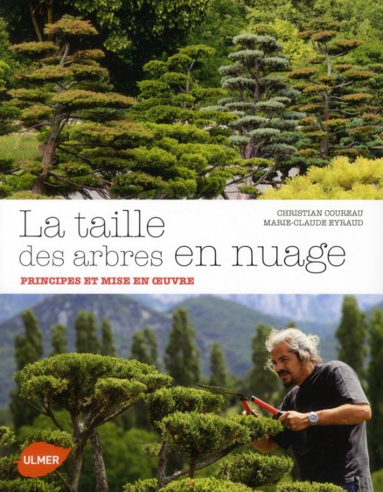 Emprunter La taille des arbres en nuage. Principes et mise livre