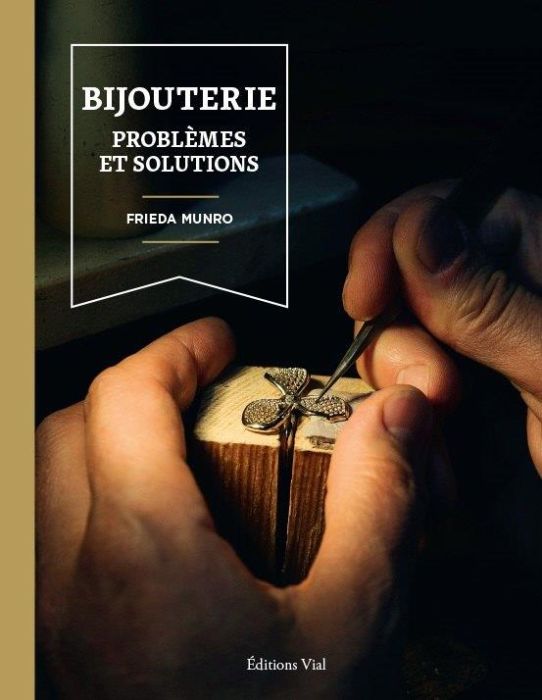 Emprunter Bijouterie. Problèmes et solutions livre