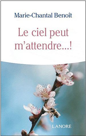 Emprunter Le ciel peut M'attendre livre