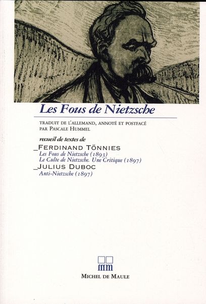 Emprunter Les Fous de Nietzsche livre